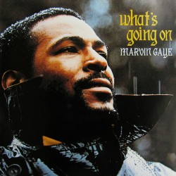 MARVIN GAYE - What's Going...