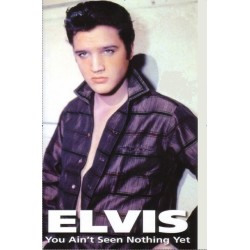 ELVIS PRESLEY - You Ain't...