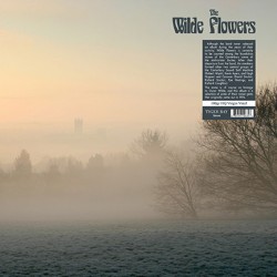 THE WILDE FLOWERS - The...