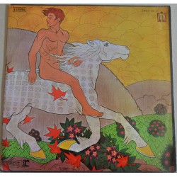 FLEETWOOD MAC - Then Play...