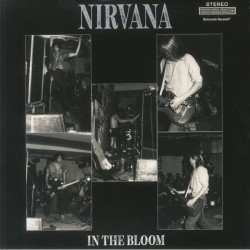 NIRVANA – In The Bloom LP