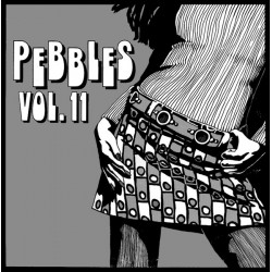 VARIOUS - Pebbles Vol. 11 LP
