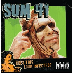 SUM 41 - Does This Look...