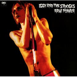 IGGY & THE STOOGES - Raw...