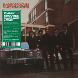FLAMIN' GROOVIES - Shake...