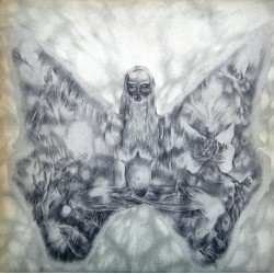 CANARIOS - Ciclos LP...