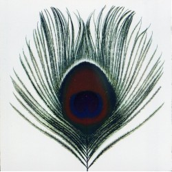 XTC - Apple Venus Volume 1 CD
