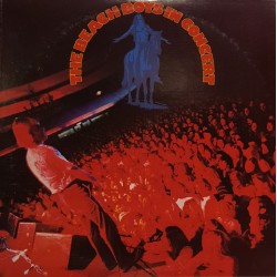 THE BEACH BOYS - In Concert...