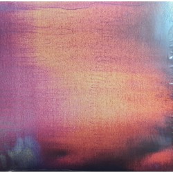 NEW ORDER - Bizarre Love...