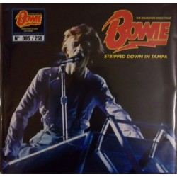 DAVID BOWIE - Stripped Down...