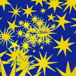 CLUSTER - Cluster II LP