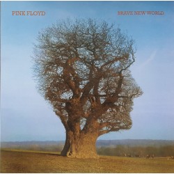 PINK FLOYD – Brave New...