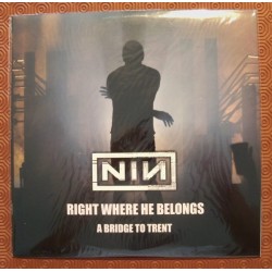 NINE INCH NAILS - RIGHT...
