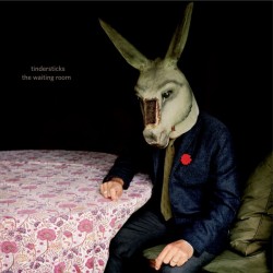 TINDERSTICKS - The Waiting...