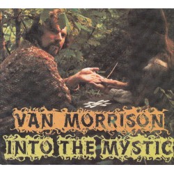 VAN MORRISON - Into The...