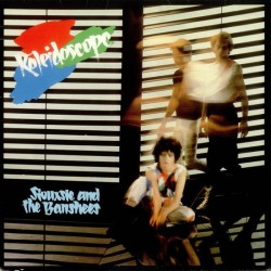 SIOUXSIE & THE BANSHEES -...
