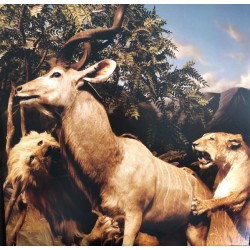 INTERPOL - Our Love To...