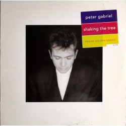 PETER GABRIEL - Shaking The...
