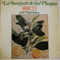 JOËL FAJERMAN - La Aventura...