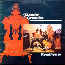 THE FLAMIN' GROOVIES -...