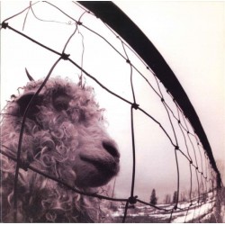 PEARL JAM – Vs. LP