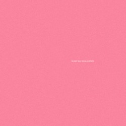 SUNNY DAY REAL ESTATE -...