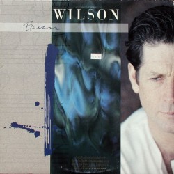 BRIAN WILSON - Brian Wilson LP