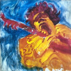 JIMI HENDRIX - The Jimi...