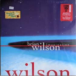 BRIAN WILSON - Imagination...