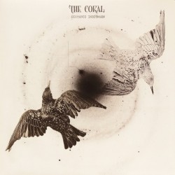 THE CORAL - Distance...