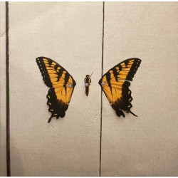PARAMORE - Brand New Eyes LP