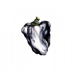 WEEN - White Pepper CD
