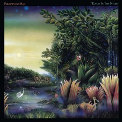 FLEETWOOD MAC - Tango In...