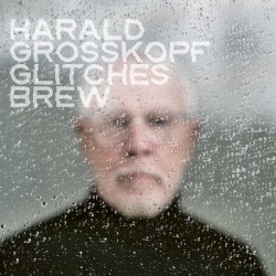 HARALD GROSSKOPF - Glitches...