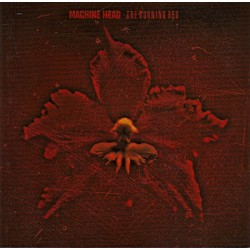 MACHINE HEAD – The Burning...