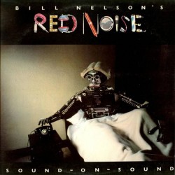 BILL NELSON'S RED NOISE -...