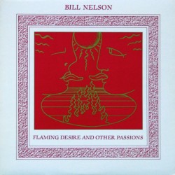 BILL NELSON - Flaming...