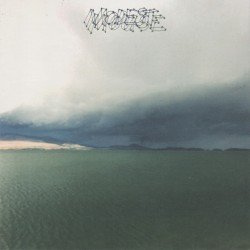 MODEST MOUSE - The Fruit...