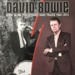 DAVID BOWIE - C'est La Vie...