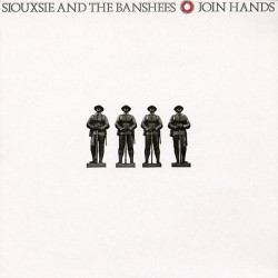 SIOUXSIE & THE BANSHEES -...