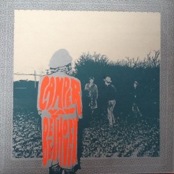 CAMPER VAN BEETHOVEN - Telephone Free Landslide Victory LP