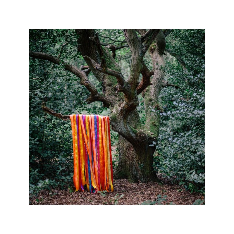 JAMES HOLDEN JAMES HOLDEN