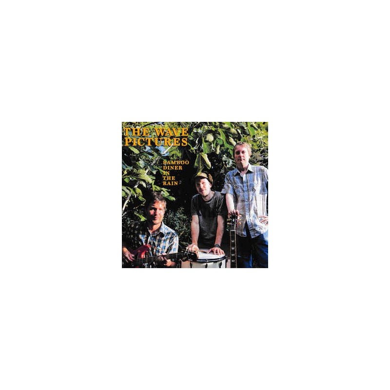 WAVE PICTURES - Bamboo Diner In The Rain LP WAVE PICTURES - Bamboo Diner In The Rain LP