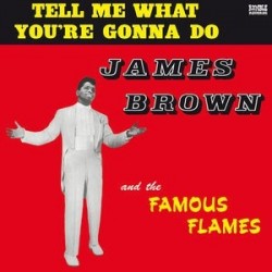 JAMES BROWN - Tell Me What You're Gonna Do LP