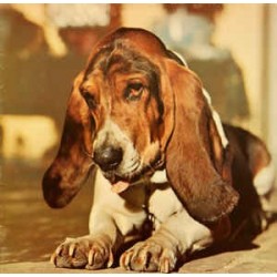 DUFFY - Just In Case You're Interested LP