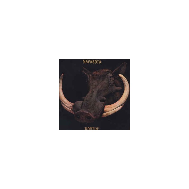 NAVASOTA - Rootin' LP NAVASOTA - Rootin' LP